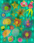 Electric Candy Forest.png Poster och Canvastavla