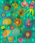 Electric Candy Forest.png Poster och Canvastavla