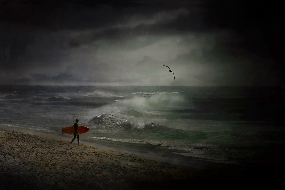 Ready to surf. Poster och Canvastavla