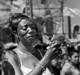 Coney Island Parrot Poster och Canvastavla