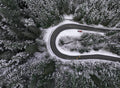 Snowy Road Poster och Canvastavla
