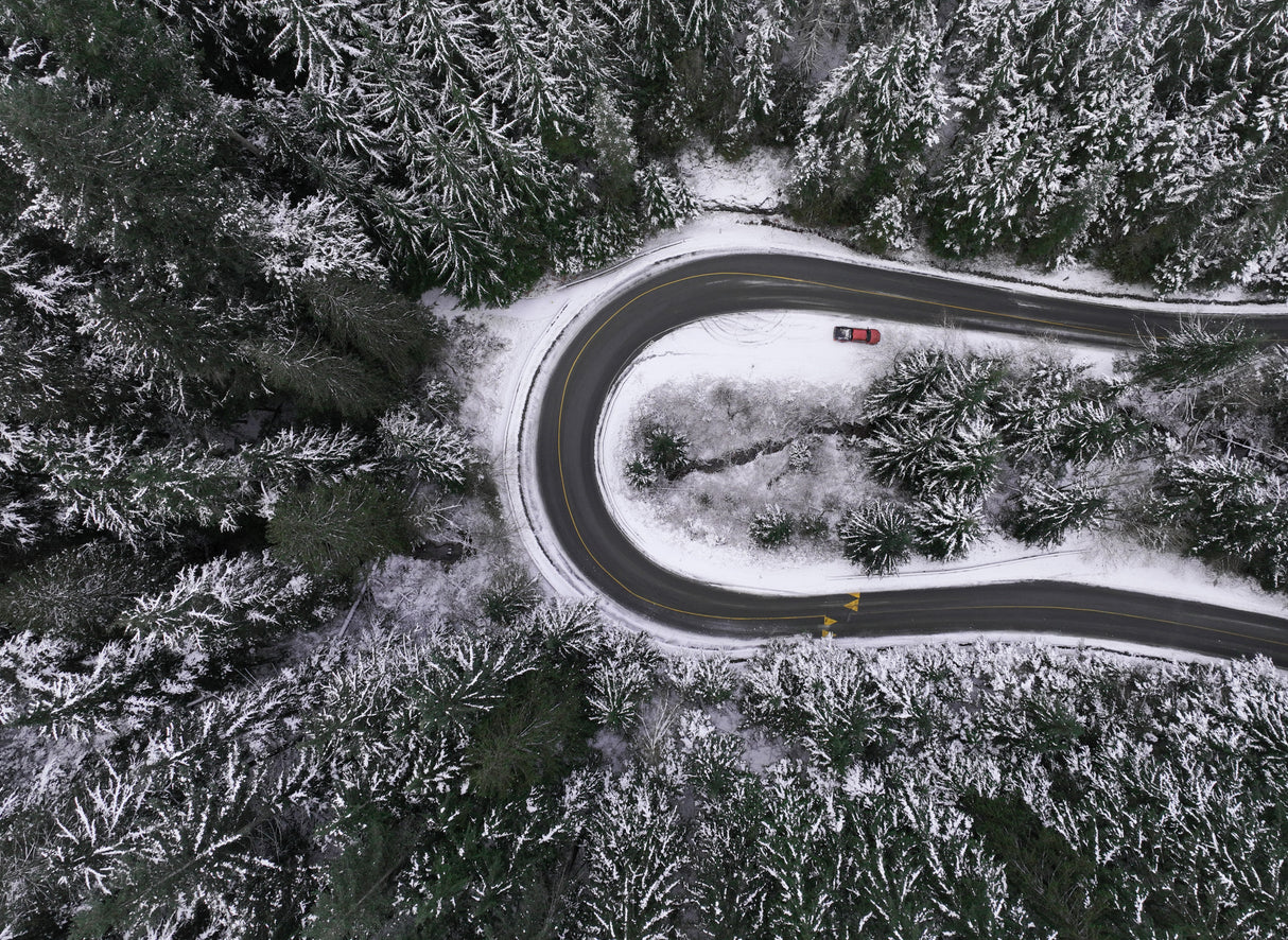 Snowy Road Poster och Canvastavla