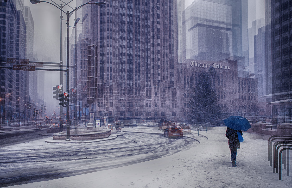 Snow in Chicago Poster och Canvastavla