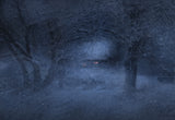 Snowy evening... Poster och Canvastavla