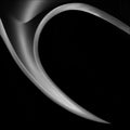 The HorN Poster och Canvastavla