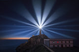 Light the Night Poster och Canvastavla