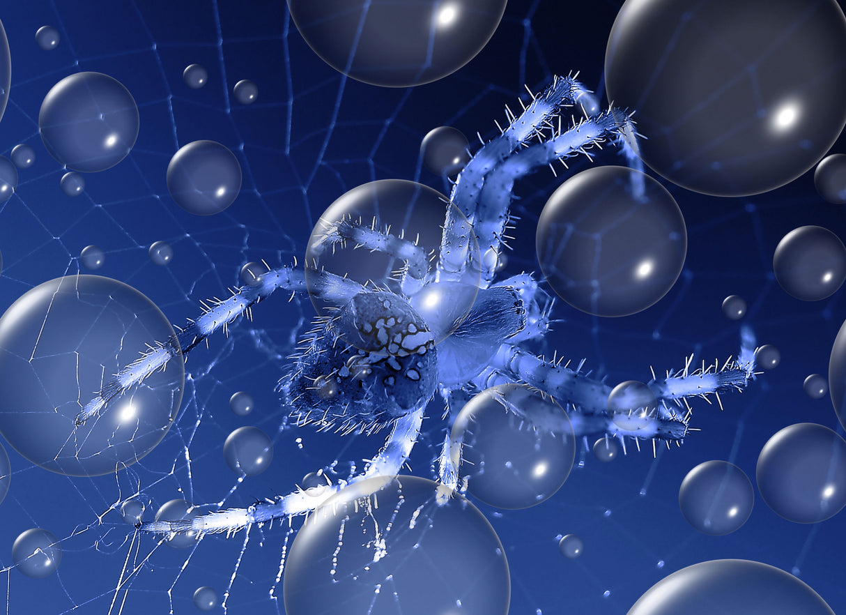 Bubble catcher... Poster och Canvastavla