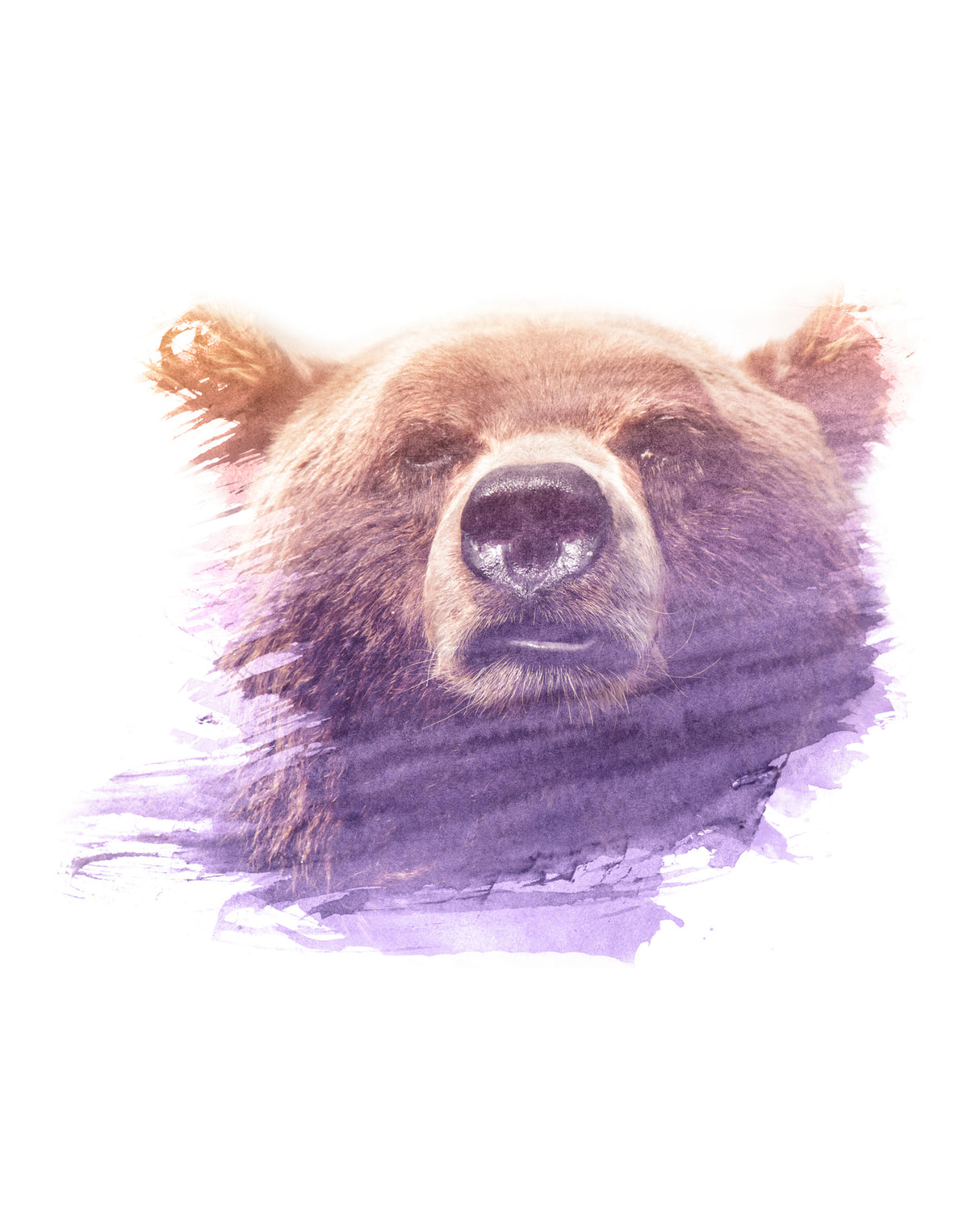 0002 Animal Watercolor Poster och Canvastavla