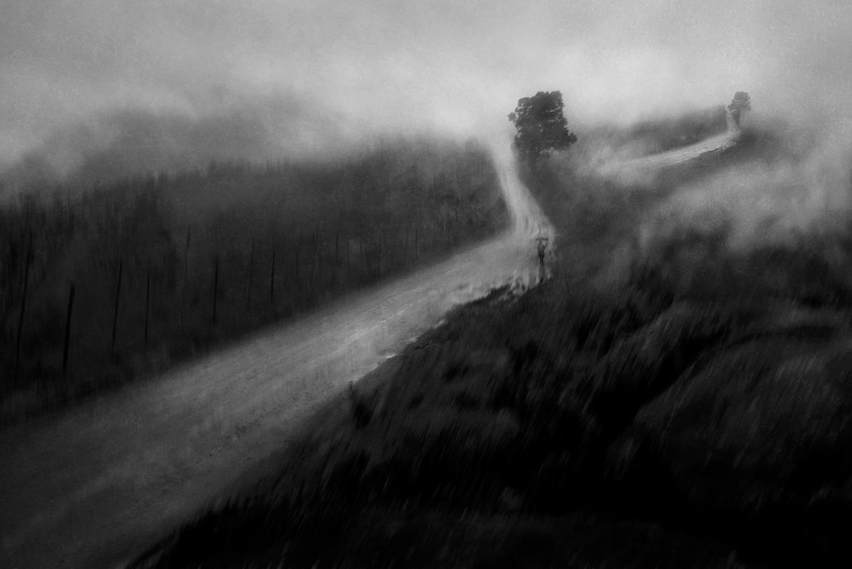 To the mountain of clouds Poster och Canvastavla