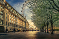 Last Daylights at the London Eye Poster och Canvastavla