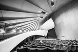Chamber music auditorium Poster och Canvastavla