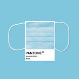 Color of the year Poster och Canvastavla