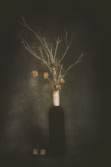 The Bottle Poster och Canvastavla