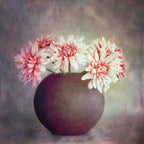 Flowers Poster och Canvastavla