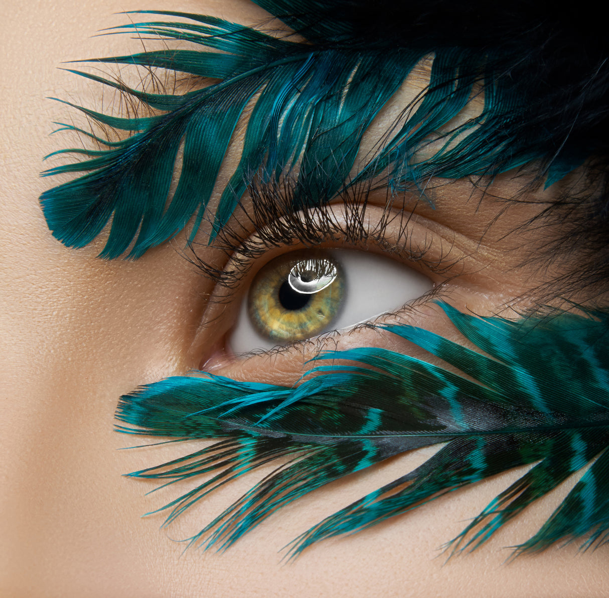 Macro beauty Poster och Canvastavla