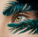 Macro beauty Poster och Canvastavla