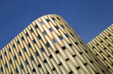 Blue Gold Poster och Canvastavla