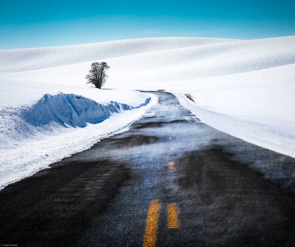 Palouse Road in Winter Poster och Canvastavla