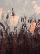 Dancing grass Poster och Canvastavla