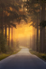 Pursuing the light at the end of the road Poster och Canvastavla