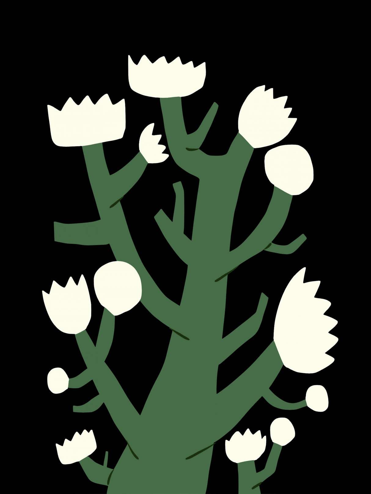 Nocturnal White Blossom Poster och Canvastavla