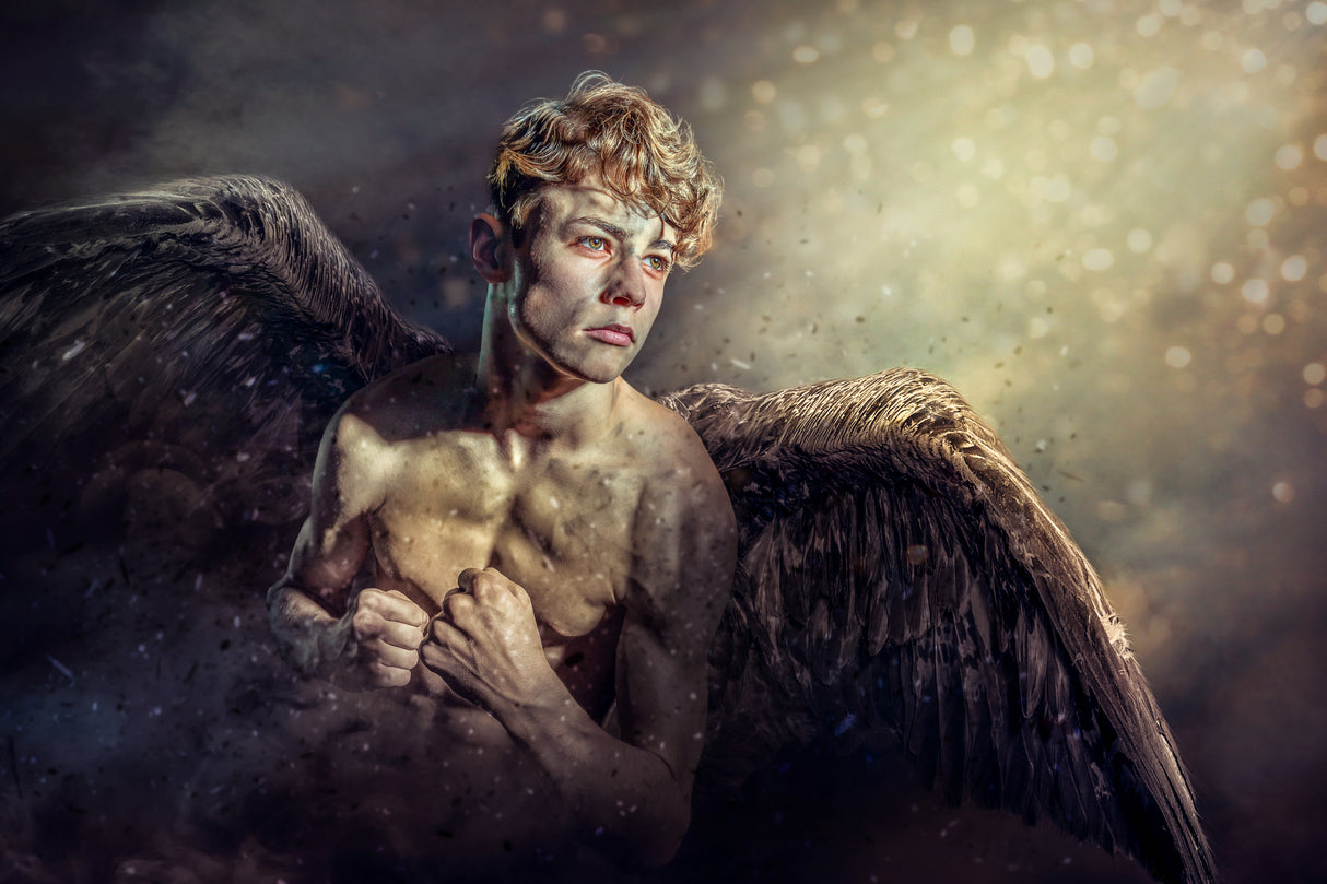 FallenAngel Poster och Canvastavla