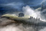 Morning mist. Poster och Canvastavla