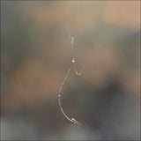 Suggestion for a present? Poster och Canvastavla