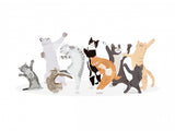 Dancing Cat Poster och Canvastavla