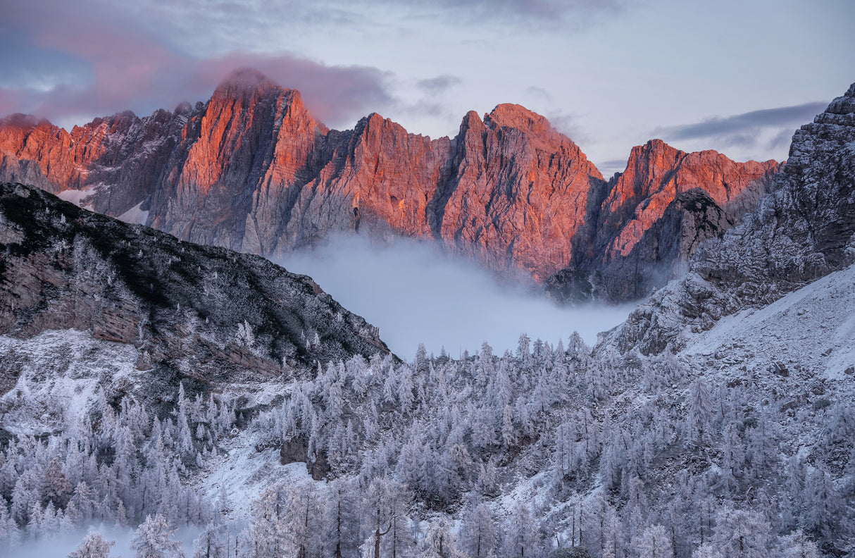 Winter sunset in the mountains Poster och Canvastavla
