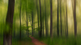 The Green Forest. Poster och Canvastavla