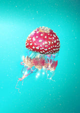 Hallucination Poster och Canvastavla