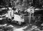 Vespa a riposo Poster och Canvastavla