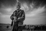 The shepherd Poster och Canvastavla