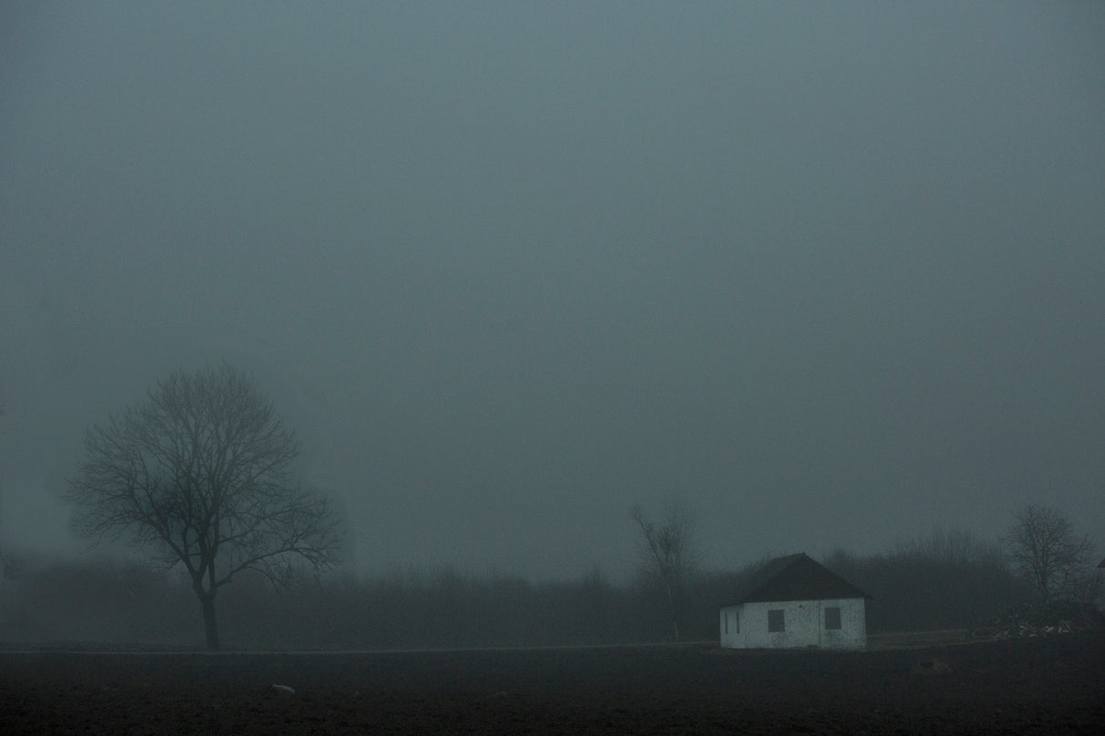 Fog Poster och Canvastavla