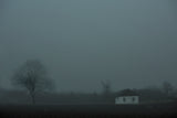 Fog Poster och Canvastavla