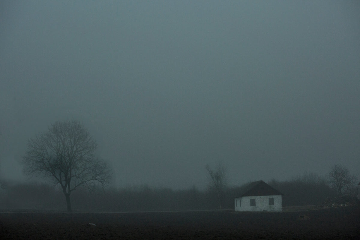 Fog Poster och Canvastavla