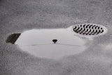 Reflection on/of a Streetlight Poster och Canvastavla