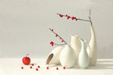 Red Berries Poster och Canvastavla