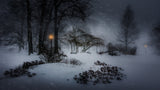 Winter Storm Jonas Poster och Canvastavla