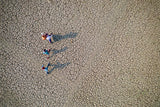 A long way Poster och Canvastavla