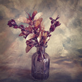 Autumn Struck Poster och Canvastavla