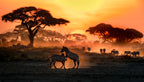 In the golden savannah Poster och Canvastavla