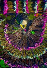 Harvesting water lilies Poster och Canvastavla