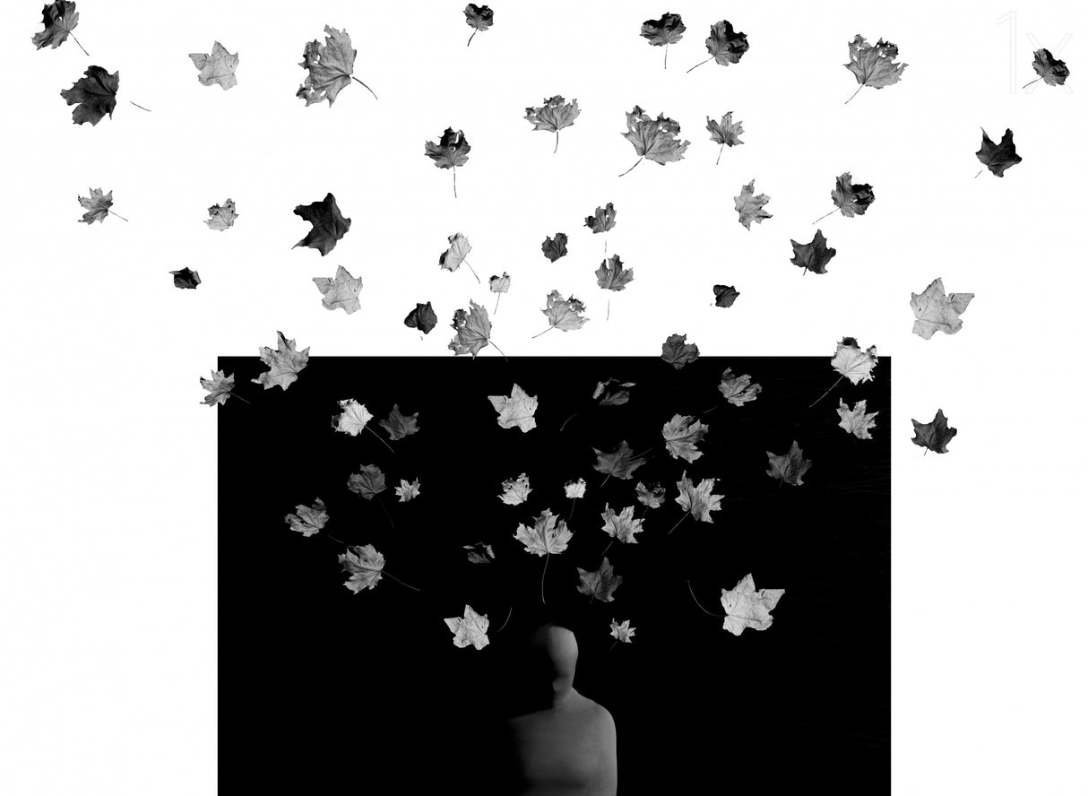 "Cocoon" Poster och Canvastavla