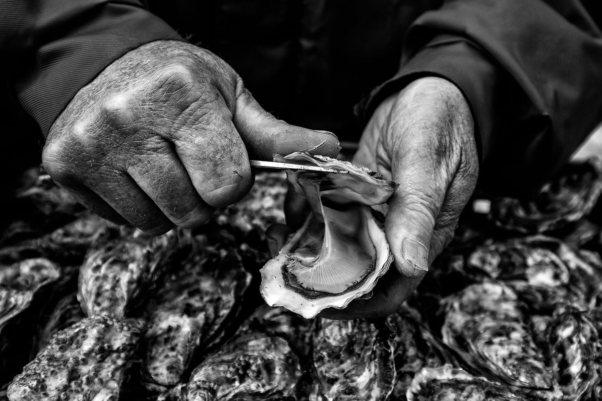 L'Ostreiculteur " Oyster Farmer" Poster och Canvastavla