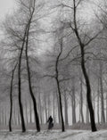 When winter knocks on the door ... Poster och Canvastavla