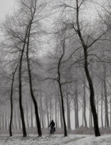 When winter knocks on the door ... Poster och Canvastavla