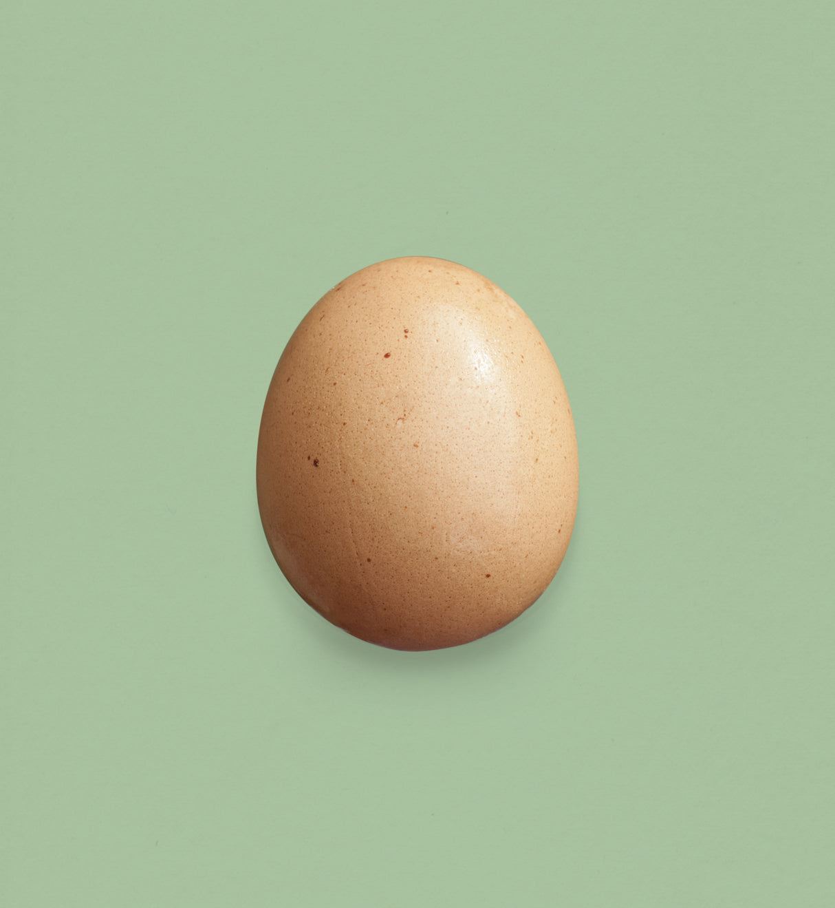 Just an Egg Main Poster och Canvastavla