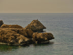 seascape and rocks Poster och Canvastavla